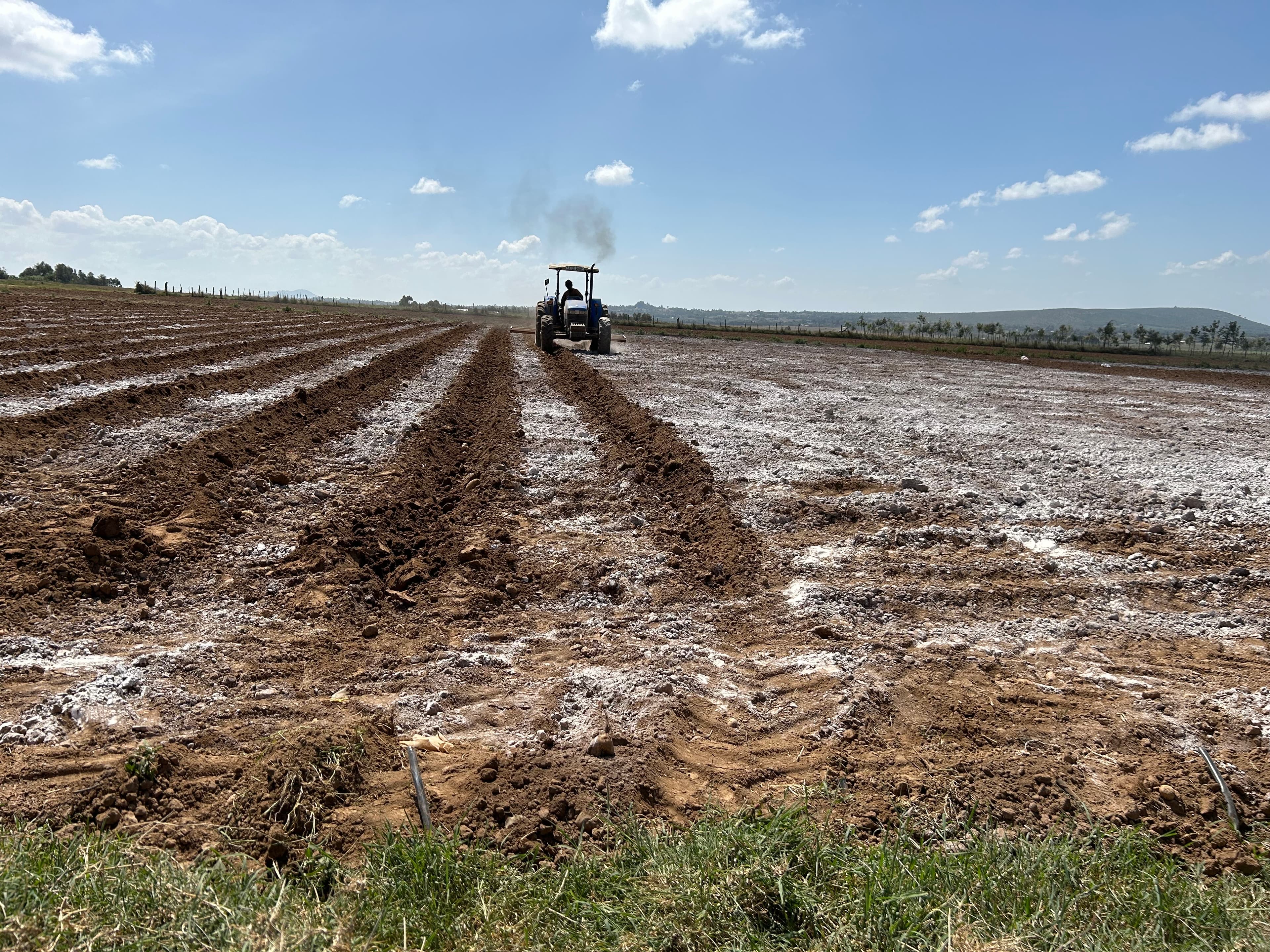 Inclusivity in agriculture