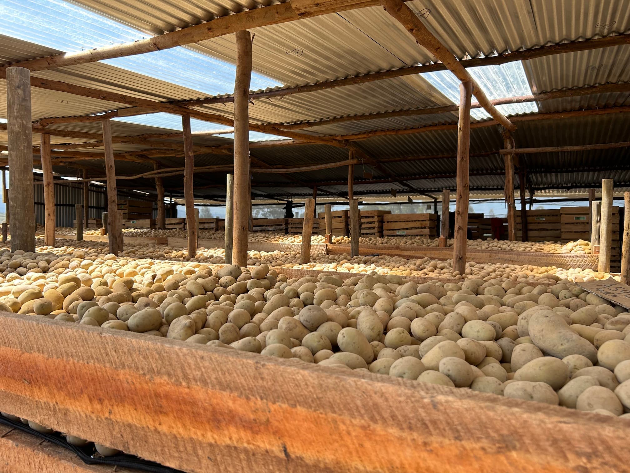 Post-Harvest Handling